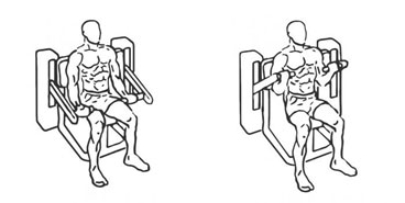 Bicep Curl Machine