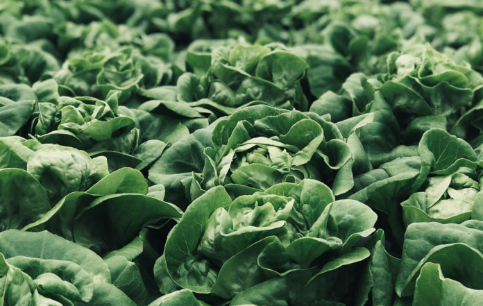Watch Your Spinach - pesticide residues