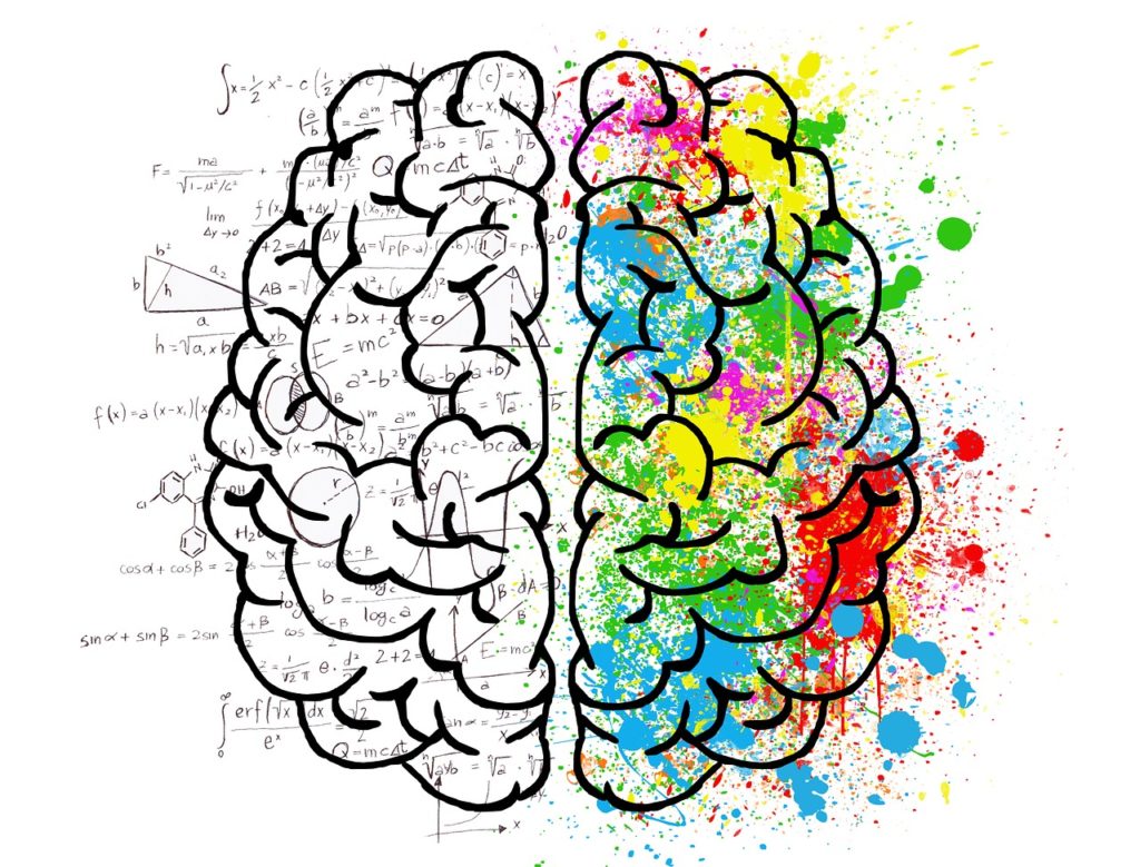 The Brain And Choline