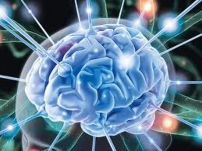 The Human Brain is Guilty For Overweight and Obesity