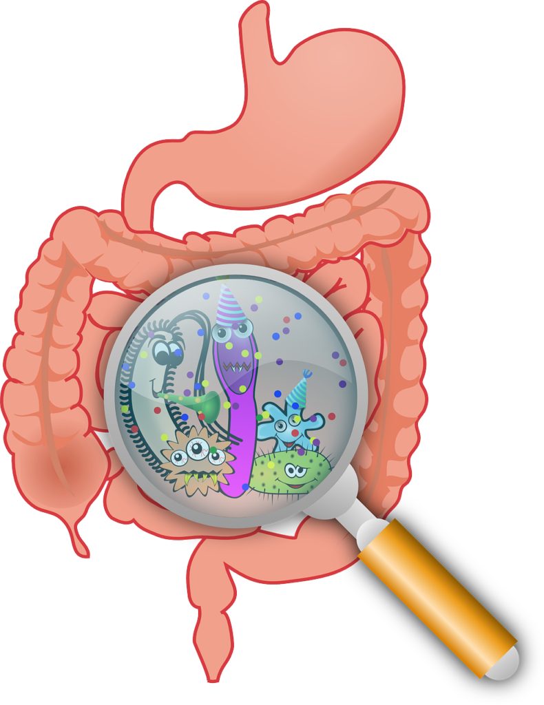 Due to the nutrient depletion, people not only gain the weight they lost, but many pounds more and any time they repeat this process they gain more and more weight