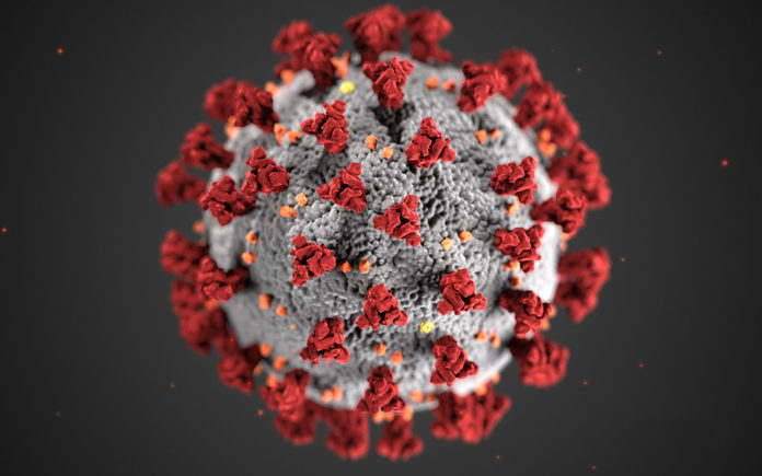 The Coronavirus - Aka COVID-19 Prevention Against Viruses