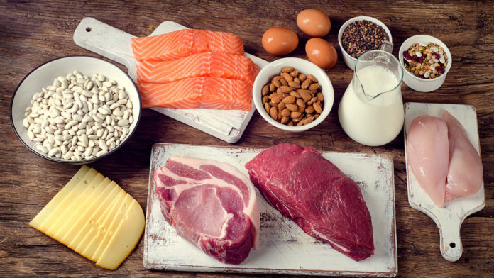 Why Is Protein So Important?