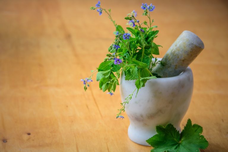 Herbs that will Help Your Brain Health