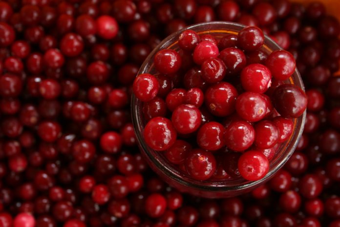 Herbs, Uses and Benefits - the C list Alphabetically From Chaparral to Cranberry